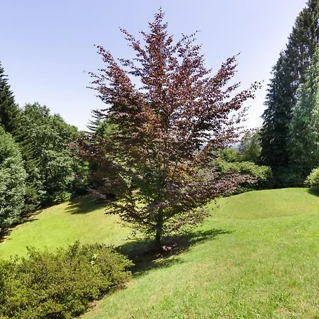 فيلة Nelma By Casa Da Gignese